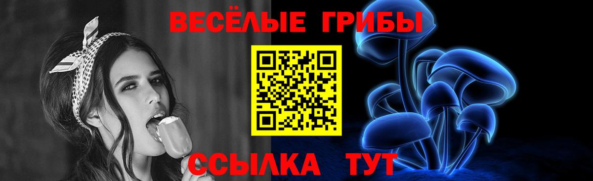 Рубцовск  Псилоцибиновые грибы Psilocybine cubensis  Вход с VPN 